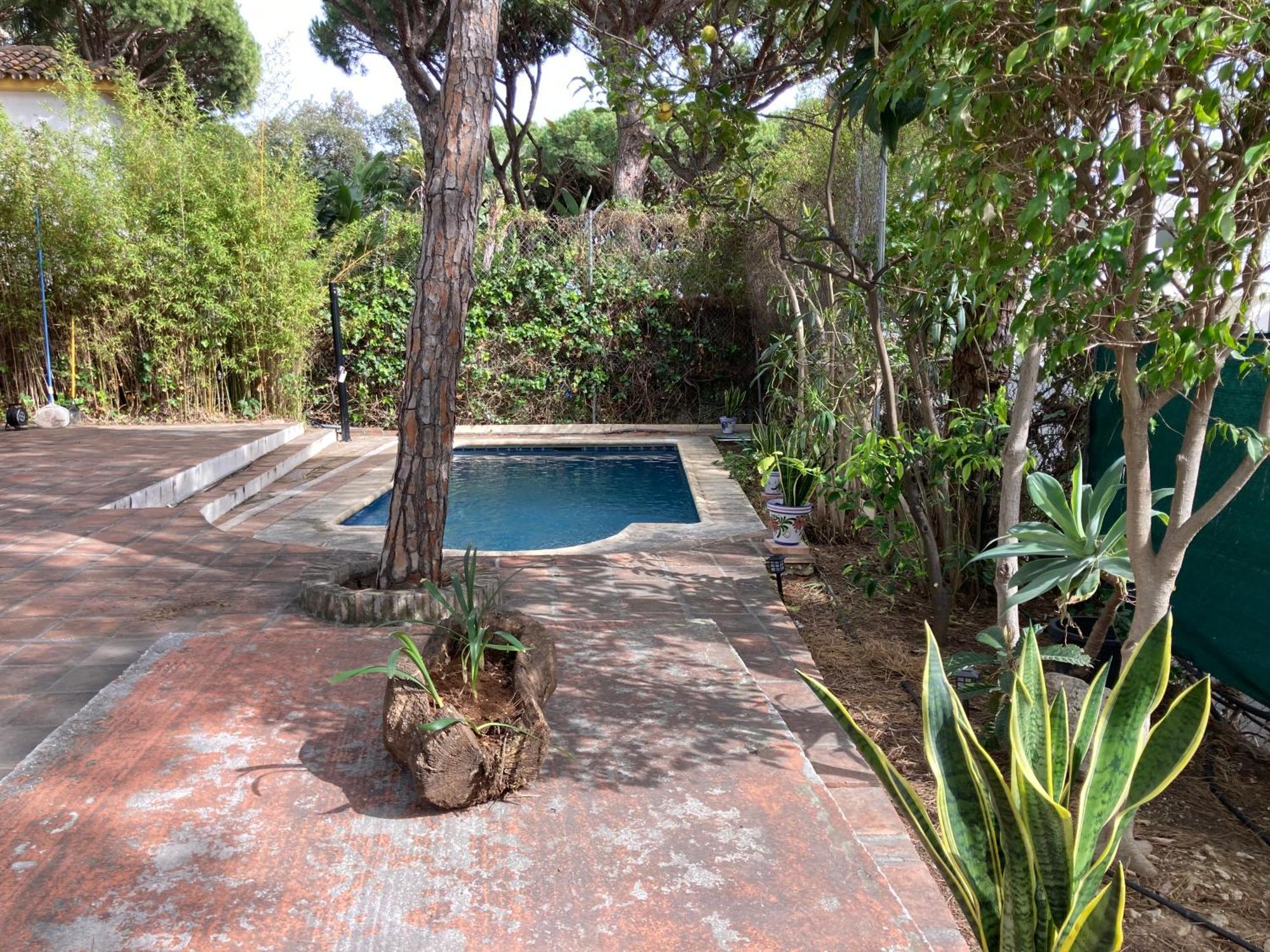 Marbella White Home, Calahonda, By Sol Maestranza Sitio de Calahonda Exterior foto